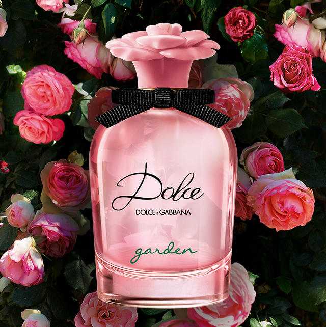dolce gabbana pink perfume