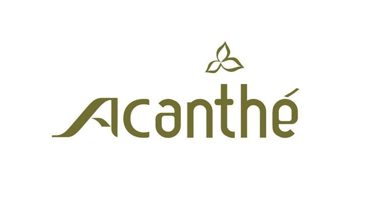 Acanthe
