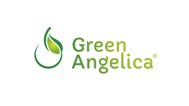 Green Angelica