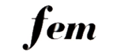 FEM