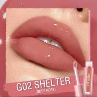 Pinkflash Ever Glossy Moist Lipgloss G02 Shelter