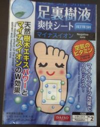 Daiso Detox Foot Pads Blue