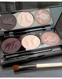 Chantecaille Eyeshadow Palette 15 Years Anniversary