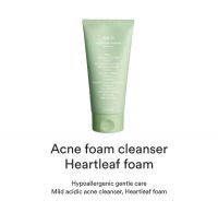 Abib Cosmetics Acne Foam Cleanser Heartleaf Foam 150ml 