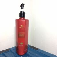Dancoly Argan repair Shampoo Argan Oil