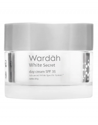 Wardah White Secret Day Cream (Discontinued) 