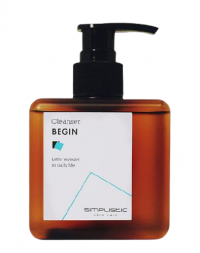 Simplistic Begin Cleanser 