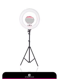 Armando Caruso Portable Ring Light Pink 203P