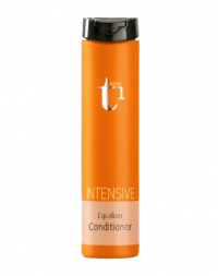 Makarizo Professional T1 Intensive Equalizer Conditioner 