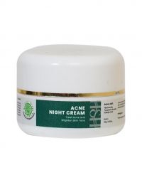 H&H Acne Night Cream 