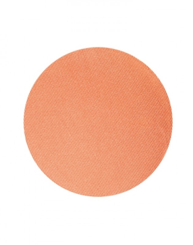 Artist Shadow - Matte Finish (Refill)