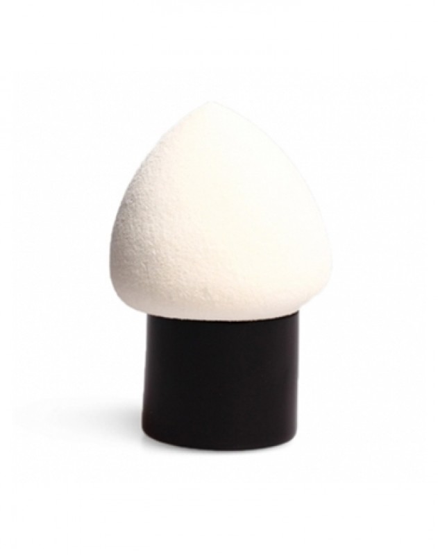 Kabuki Beauty Blender
