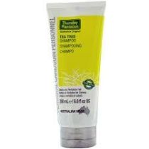 Tea Tree Shampoo