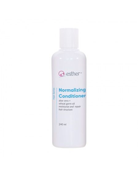 Normalizing Conditioner