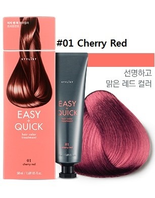STYLIST EASY & QUICK HAIR COLOR TREATMENT