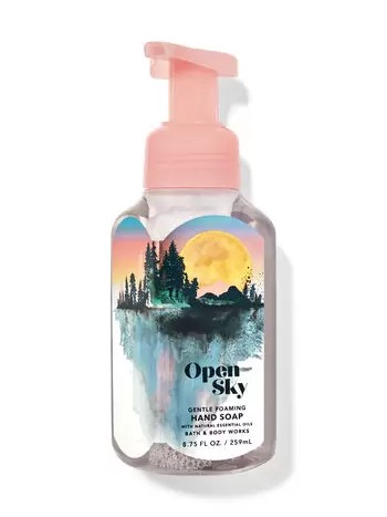 Gentle Foaming Hand Soap