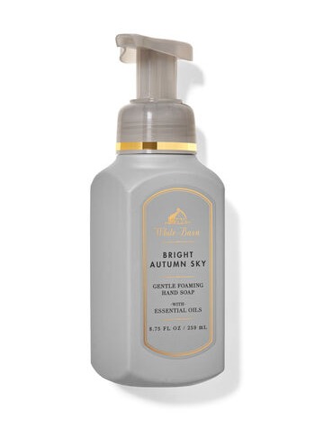 Gentle Foaming Hand Soap