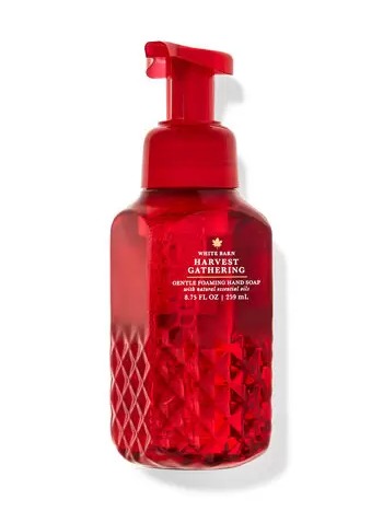 Gentle Foaming Hand Soap