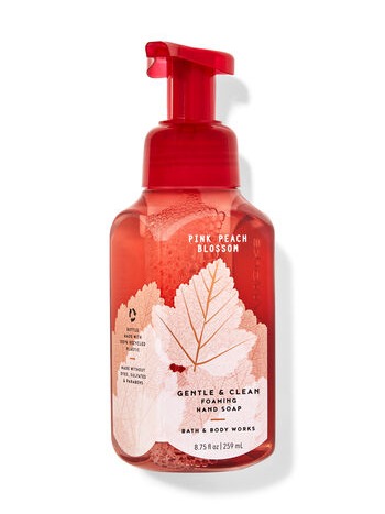 Gentle Foaming Hand Soap