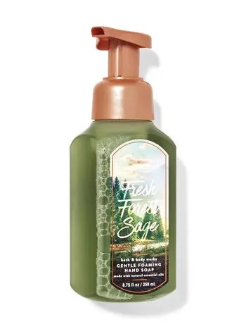 Gentle Foaming Hand Soap