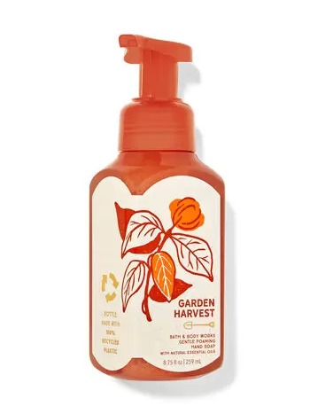 Gentle Foaming Hand Soap