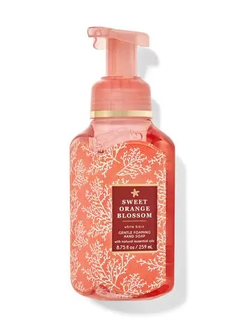 Gentle Foaming Hand Soap