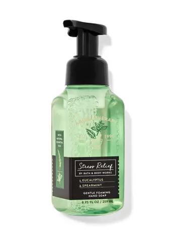 Gentle Foaming Hand Soap