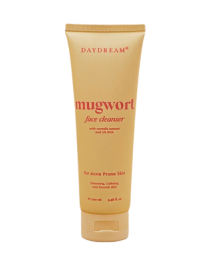 Mugwort Face Cleanser