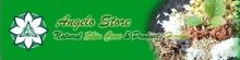 Angelo Store