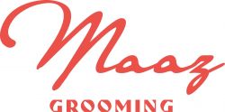 Maaz Grooming