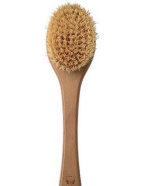 Cactus Brush