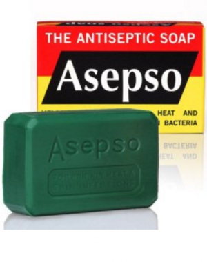 The Antiseptic Soap