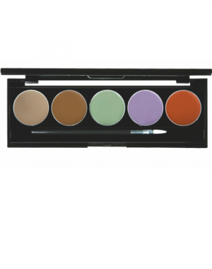 Camouflage Cream Face Concealer