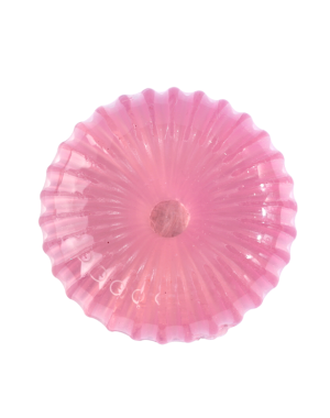 Brush Cleanser Soap