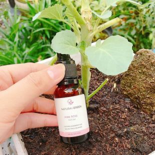 Natural Green Pink Rose Face Oil 