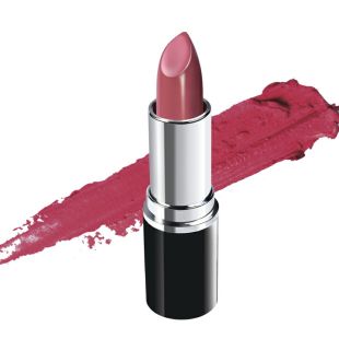 SilkyGirl Moisture Smooth Lipcolor 08 Warm Brown