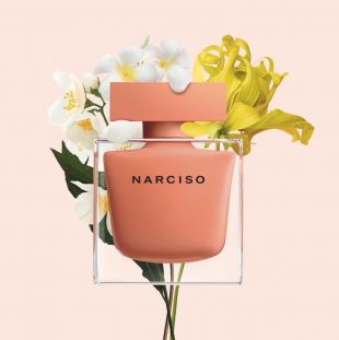 Narciso Rodriguez Narciso Ambree 