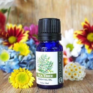 Utama Spice Tea Tree Essential Oil 