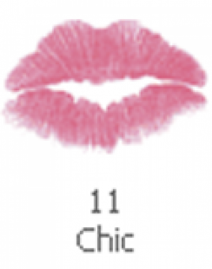 SilkyGirl Moisture Shine Lipcolor Chic