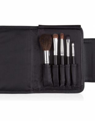Coastal Scents GO TRAVEL Brush Set Synthetic Natural Hair