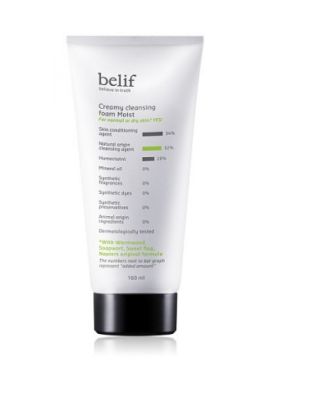 Belif Creamy Cleansing Foam Moist 