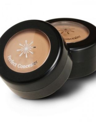 Missha The Style Perfect Concealer Natural Beige