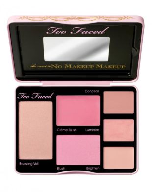 Too Faced The Secret To No Makeup Makeup Palette 