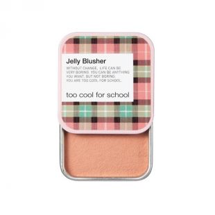 Too Cool for School Jelly Blusher Ginger Pie