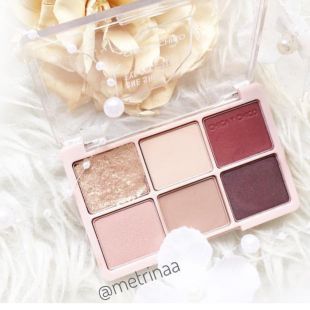 chica y chico 6in1 One Shot Eye Palette Shade Wine Burgundy 04