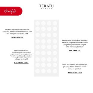 Teratu Beauty Hydrocolloid Acne Patch 