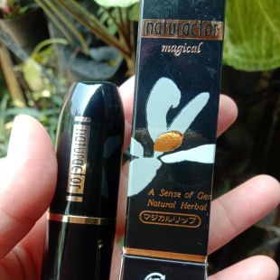 Naturactor Magical Lipstick 01