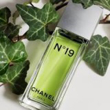 Chanel N°19 Eau de Toilette 