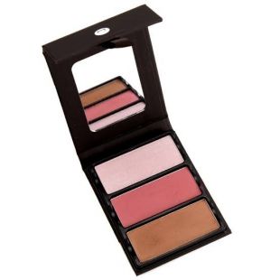 Viseart Theory Cheek Palette Theory I Enamored