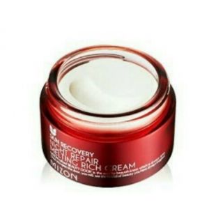 Mizon Night Repair Melting Rich Cream 